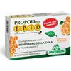 Specchiasol Epid Benessere Gola Sistema Immunitario Gusto Arancia, 20 Compresse