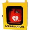 Doctorpoint Armadietto Teca Defibrillatori - 43x21xh.48cm - Con Termoregolazione - Uso Esterno