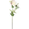 EUROCINSA Eurocinesa RIF.47407C02 Lady Avorio con Rosa, Confezione da 6 Pezzi, 82 cm