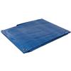 SILVERLINE Telone impermeabile metri 3X3,6 blu occhiellato