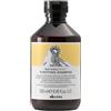 Davines Naturaltech Purifying Shampoo 250ml