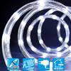 TECNO-NATALE TUBO LUMINOSO 216 LED CONTROLLER MEMORY BIANCO FREDDO LEDPNE10-LEDX36130