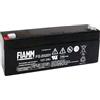 Fiamm FG20721- Batteria a secco 12V 7,2Ah