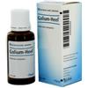 GUNA Galium-Heel Senza Glutine Gocce 30 Ml