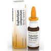 GUNA Heel Euphorbium Compositum Spray Nasale 20Ml