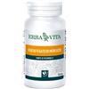 ERBA VITA GROUP SPA OLIO FEGATO MERL 100PRL 453MG