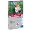 Bayer Advantix Antiparassitario Spot-On per Cani oltre i 25 kg