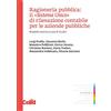 CELID Ragioneria pubblica: il «Sistema unico» di rilevazione contabile per le aziende pubbliche. Modello teorico e casi di studio