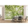 Komar Carta da parati in tessuto non tessuto, motivo nel bosco primaverile, XXL, decorazione, dimensioni: 250 x 280 cm (larghezza x altezza), SHX5-045, multicolore