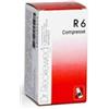 DR.RECKEWEG & CO. GMBH RECKEWEG R6 100CPR 0,1G