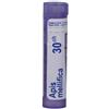 BOIRON SRL Boiron Apis Mellifica 30CH Granuli Confezione da 4g 80 granuli