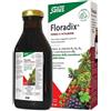 SALUS HAUS GMBH & CO KG FLORADIX 250ML