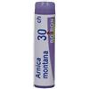 BOIRON SRL Boiron Arnica Montana 30CH Globuli Confezione Monodose da 1g