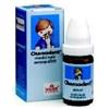 SCHWABE PHARMA ITALIA SRL CHAMODENT 10G 800GL