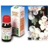SPECCHIASOL SRL BIANCOSPINO 10 50ML TM