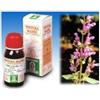 SPECCHIASOL SRL SALVIA 25 50ML TM