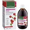 SANTIVERI SA MIRTILLO RO CONC 490ML
