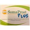 GISSOMA SRL SOMAPROST PLUS 20STICK