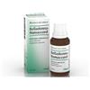 BIOLOGISCHE HEILM. HEEL GMBH BELLADONNA HOMACCORD GTT 30ML