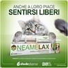 SHEDIR PHARMA Srl Unipersonale NeameLax Pasta 30g