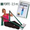 BENDA ELASTICA 2,5 M VERDE FORTE