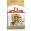 Royal Canin Cavalier King Charles Adult 1,5 kg per Cani