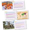 Wildgoose Education Wildgoose istruzione WG8231 Thinking... r.e World religione della (confezione da 20)