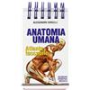 Minerva Medica Minerva Anatomia umana. Atlante tascabile