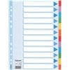 ESSELTE Intercalare cartoncino -12 tasti colorati - A4 - Esselte (unità vendita 1 pz.)