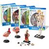 Learning Resources Set di Modelli anatomici