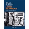 Nuova Palomar Le idee dei radicals. Potere e democrazia negli USA