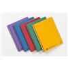 Clairefontaine - Rif. 482/1124Z - Blocco note Europa con rilegatura a spirale laterale, 240 pagine, formato A4+, rigatura a righe, copertina in cartone di alta qualità - colori assortiti (confezione