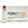 PIEMME PHARMATECH ITALIA SRL FERROTECH 30CPS