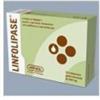 Amnol Chimica Biologica srl Linfolipase 30cpr