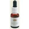 Australian Bush Flower Essences Dog Rose Wild Force Austr 15ml
