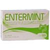 Laerbium Pharma Entermint 30cps