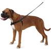 Ancol / ascoltatori Dog Pure - Smettere di Tirare Dog Training Harness e Set Piombo - di Piccola Dimensione 3-4 (INC Dvd)
