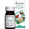 Arcangea Rosa Canina 60cps