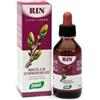 Santiveri Zefirus Rin Linea Gemme