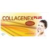 Oliverio Stilo Company srl Collagenex Plus 10fl 50ml