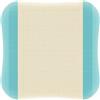 Coloplast Comfeel Plus 10x10 10pz