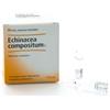 GUNA SPA ECHINACEA COMP S 10F 2,2MLHEEL