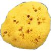 FARMACARE Srl SPUGNA Nat.Fori L N.9 F/CARE