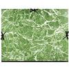 Exacompta 660E Cartelle Porta Disegni e Valigette, 61x76 cm, Verde