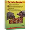 Lucky Reptile Tortoise Candy 35g - uno stuzzichino speciale - foraggio per tartarughe di terra e altri rettili erbivori - Leccornia sana per tartarughe