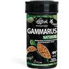 Haquoss Gammarus Mangime Naturale in Gamberetti Essiccati per Tartarughe Acquatiche, 250 ml/27 gr