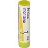 Boiron Arnica Montana Granuli Omeopatici 1mk, 1g