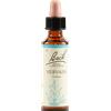 SCHWABE PHARMA ITALIA Vervain Bach Original 20ml