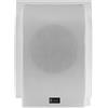 PROAUDIO DP50T DIFFUSORE ACUSTICO A PARETE PER INSTALLAZIONE PA