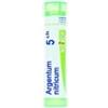 Boiron Argentum Nitricum 5CH granuli omeopatici tubo da 4 g